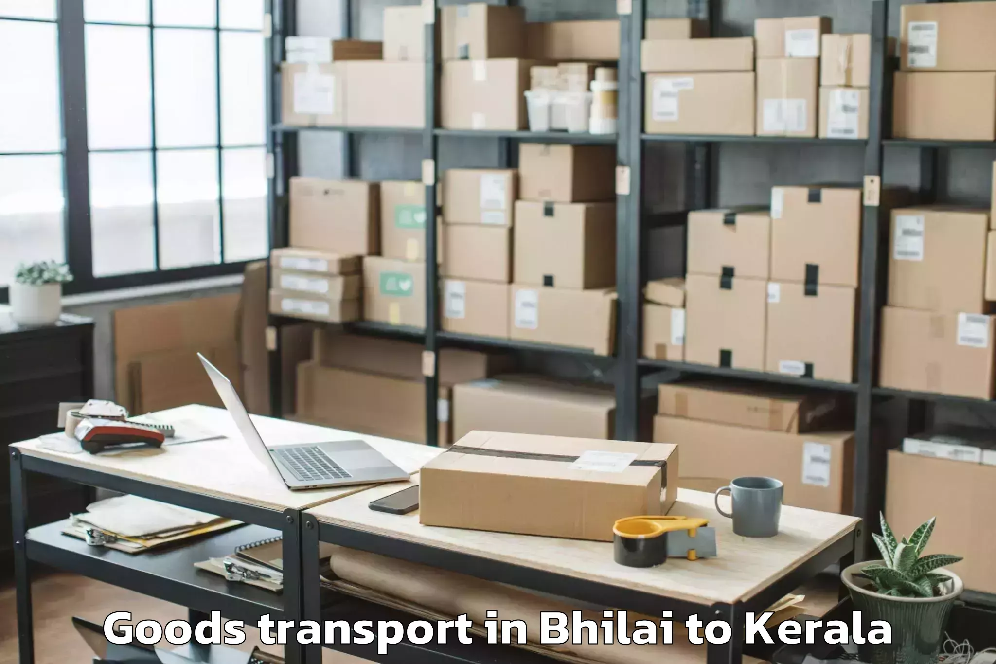 Bhilai to Koothattukulam Goods Transport Booking